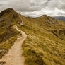 New Zealand